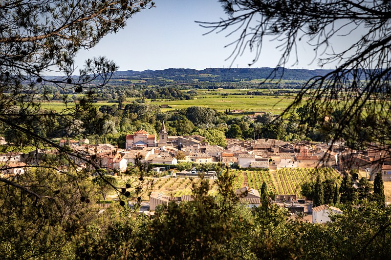 Chusclan vignoble de la vallée du Rhône Gard